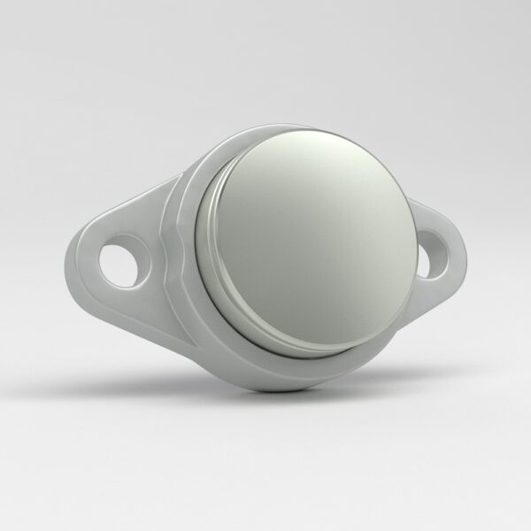 Mini-Two-bolt-flange-units-in-stainless-steel-with-closed-steel-cup